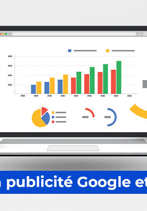 Maîtriser la Publicité Facebook et Google