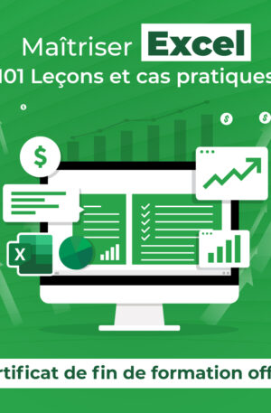 Maîtriser Excel ​
